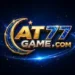 AT77 Game