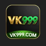 VK 999 Game