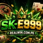 SK E999 Game