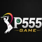 P555 Game