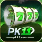 PK11 Game